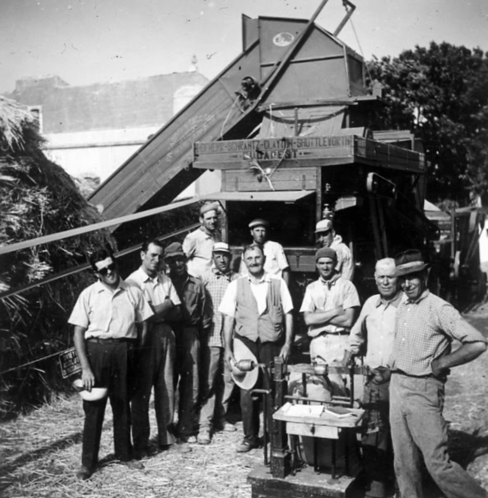 Luigi and other workers posing in front of the new harvester at Masseria Olga (1956)